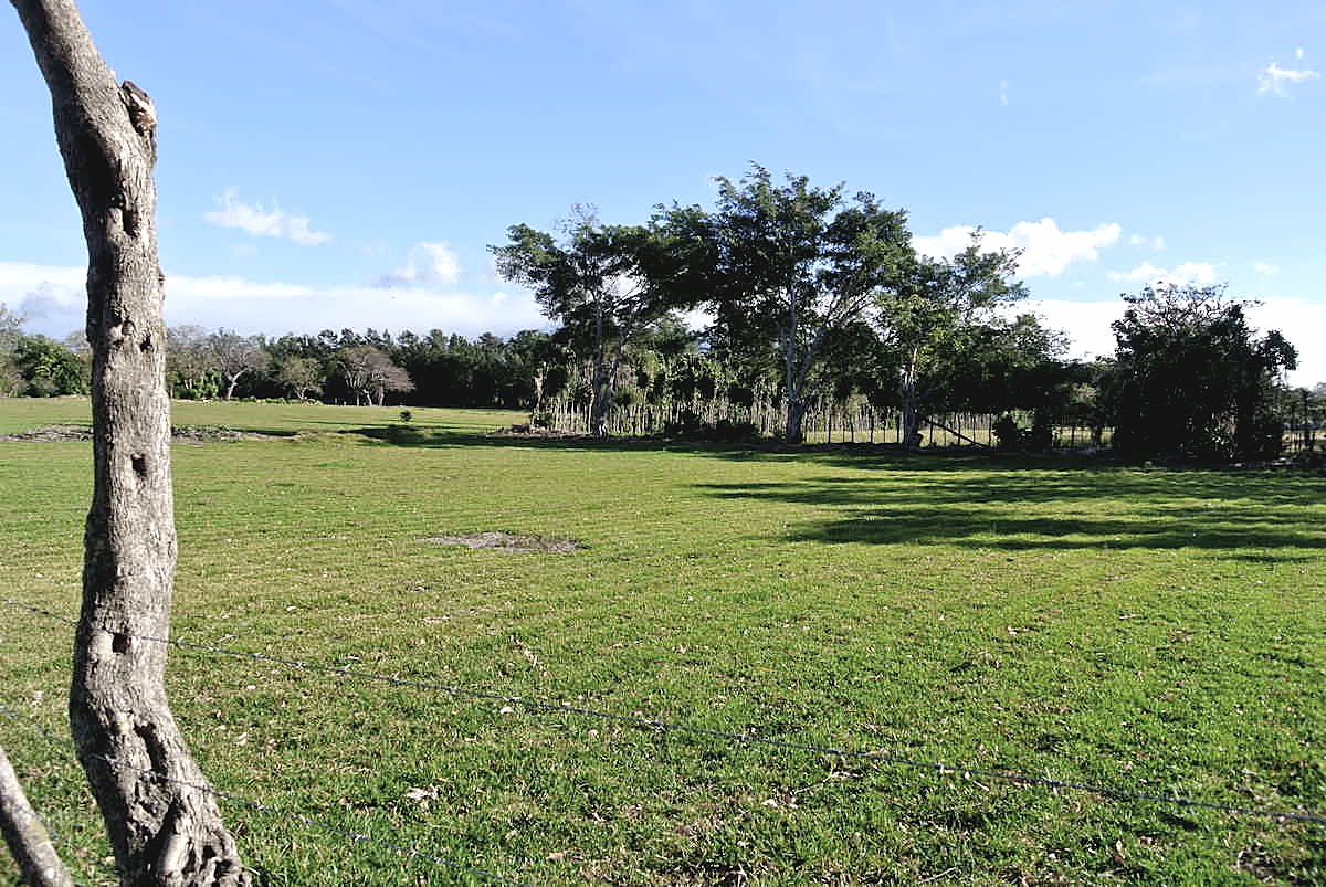 Lote para Desarrollo en La Cañada, foto 2 de 7, San Rafael, Alajuela, Costa Rica