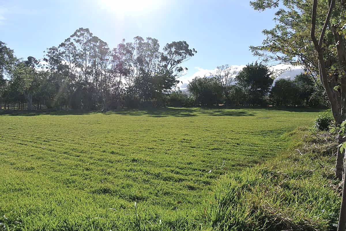 Lote para Desarrollo en La Cañada, foto 6 de 7, San Rafael, Alajuela, Costa Rica