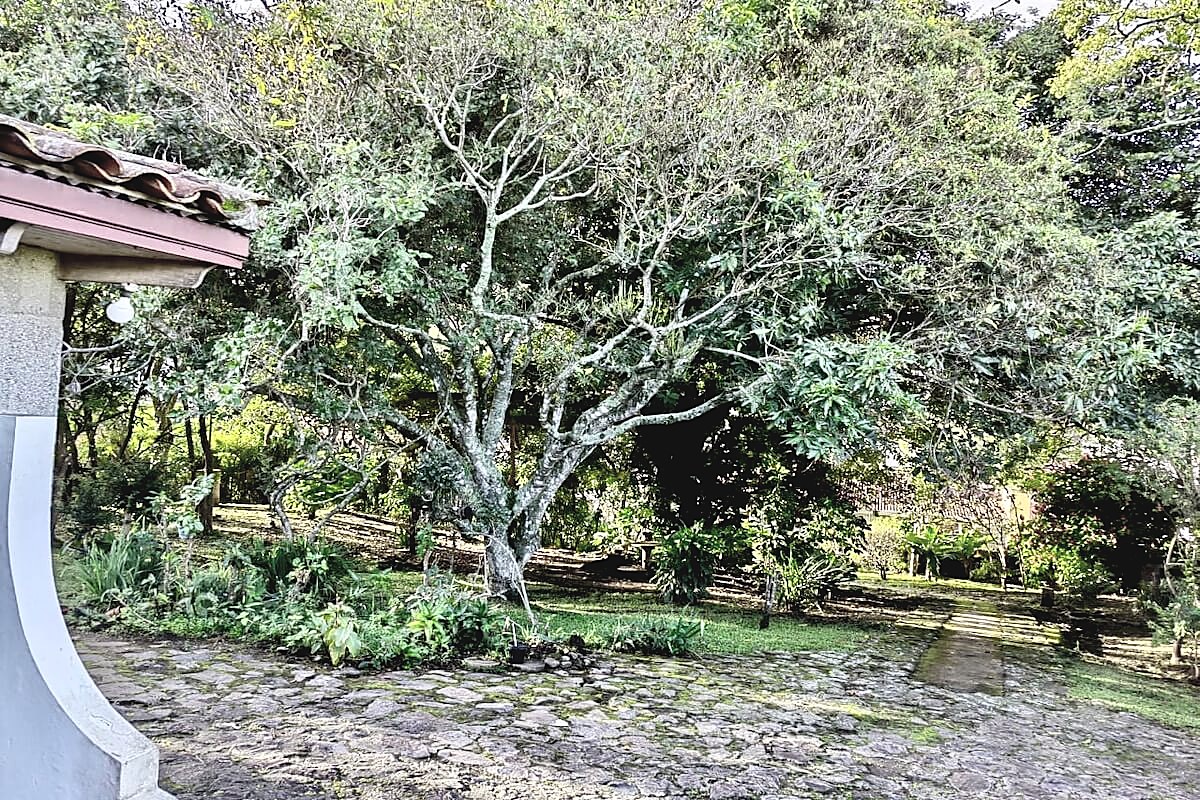 Propiedad para Desarrollo Vertical en San Rafael de Escazú, foto 6 de 12, San Rafael, Escazú, Costa Rica