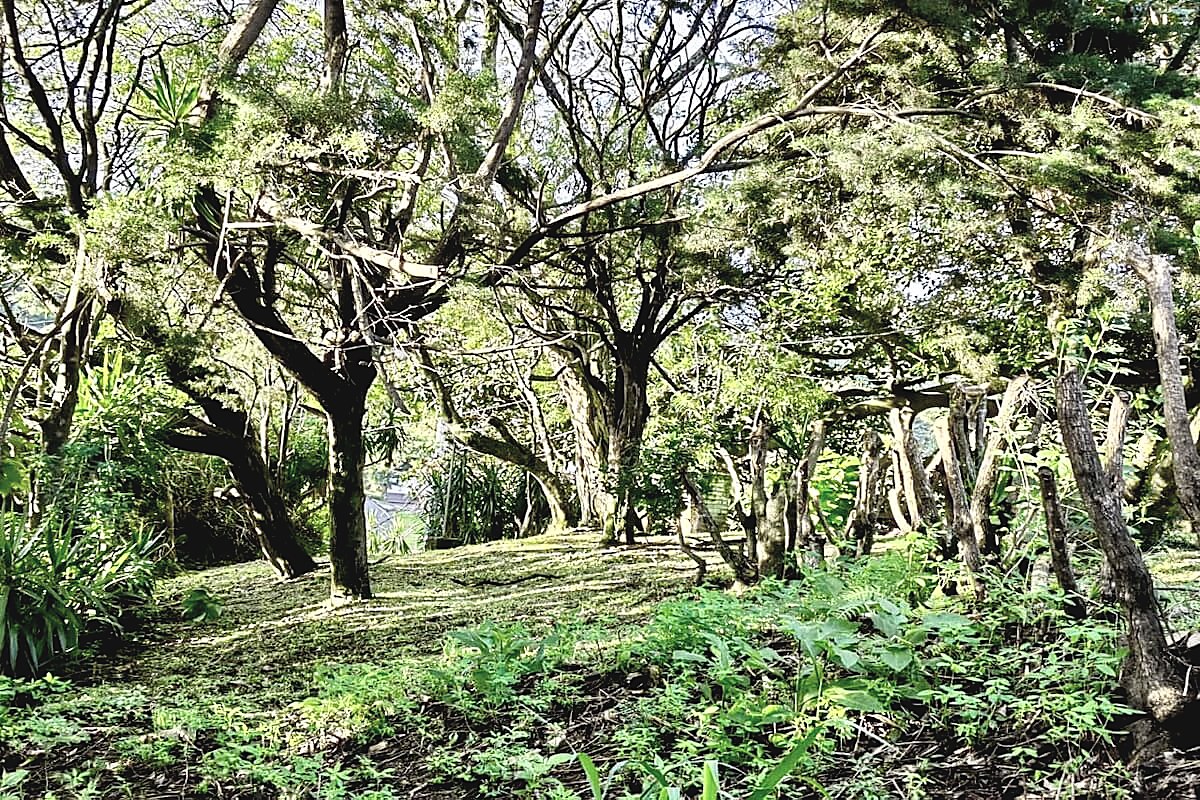 Propiedad para Desarrollo Vertical en San Rafael de Escazú, foto 11 de 12, San Rafael, Escazú, Costa Rica