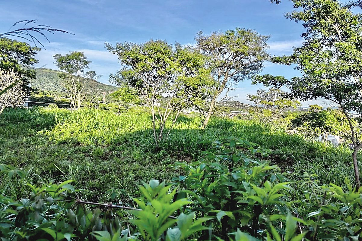 Propiedad para Desarrollo Vertical en San Rafael de Escazú, foto 12 de 12, San Rafael, Escazú, Costa Rica