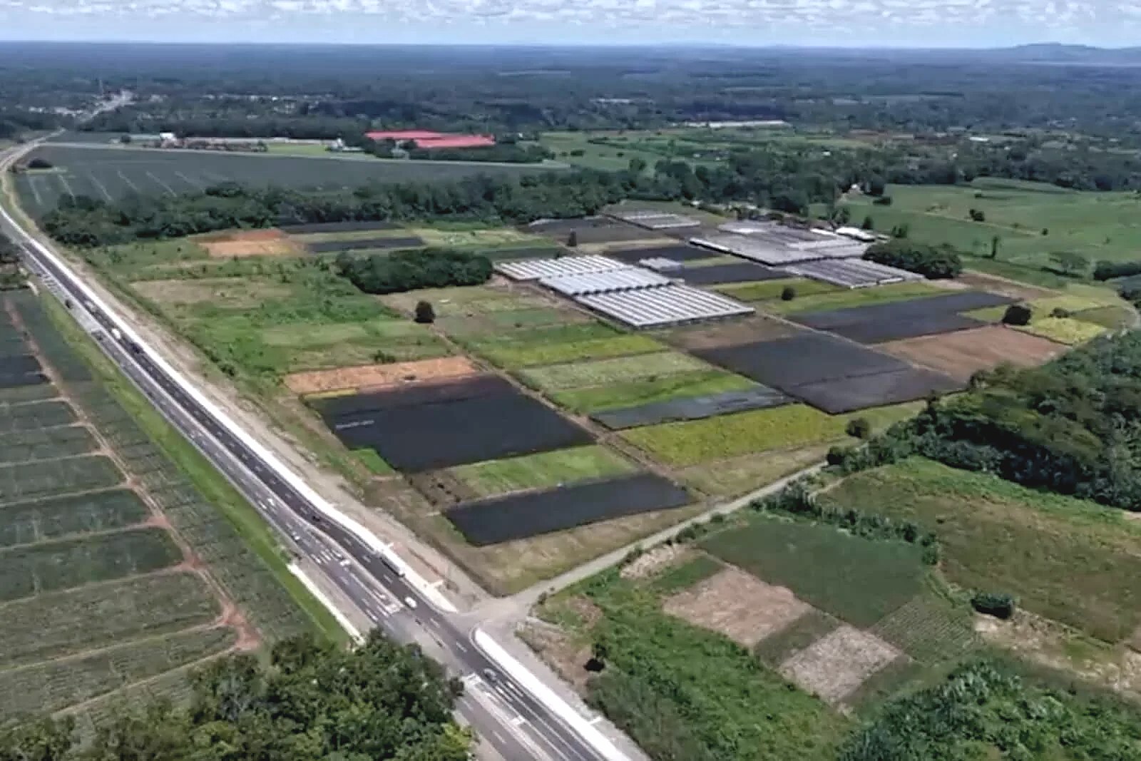 Investment and Development Land on Route 32, Siquirres, foto 8 of 14, Germania, Siquirres, Costa Rica